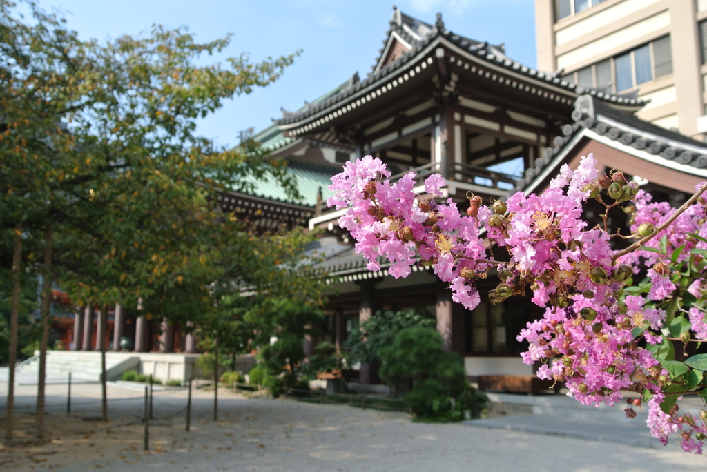 東長寺にて