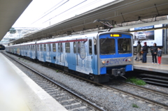 イタリアンブルー