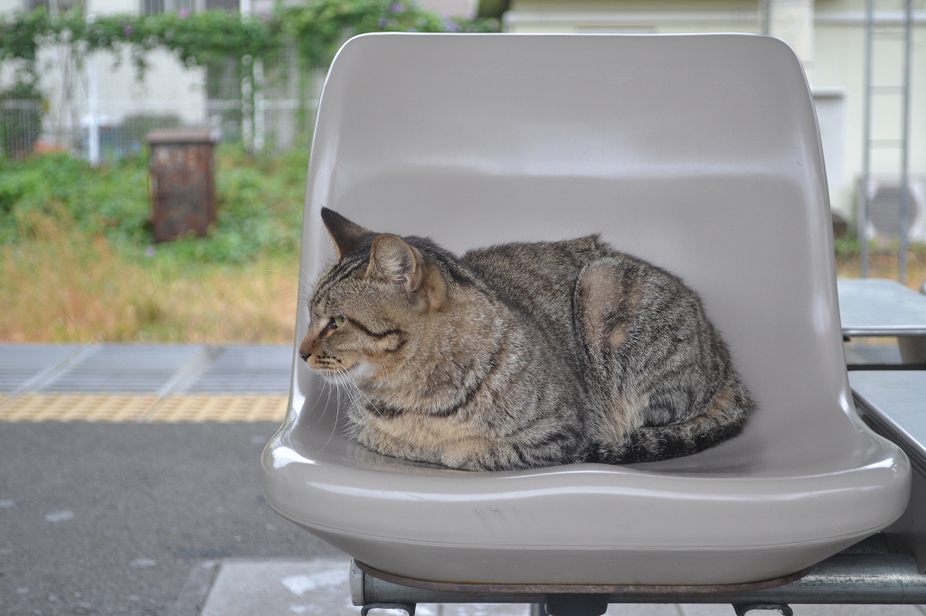 冷えるねぇ～