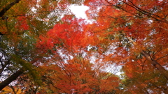 DSC04277