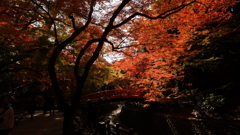 DSC04185