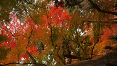 DSC04305