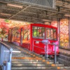 もみじ号（筑波山）