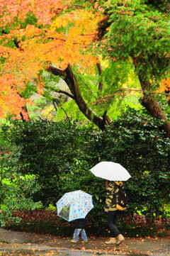 雨だって楽しいね、ママ♪