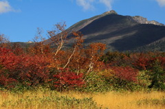 晩秋の山♪