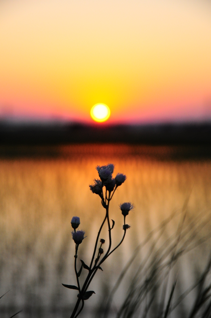 とある日の夕暮れ♪