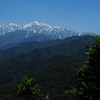 緑駆け上がる♬