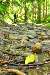 里山にも秋の気配♪