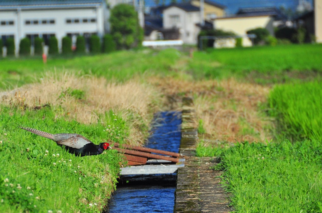 平穏な日常♪