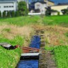 平穏な日常♪