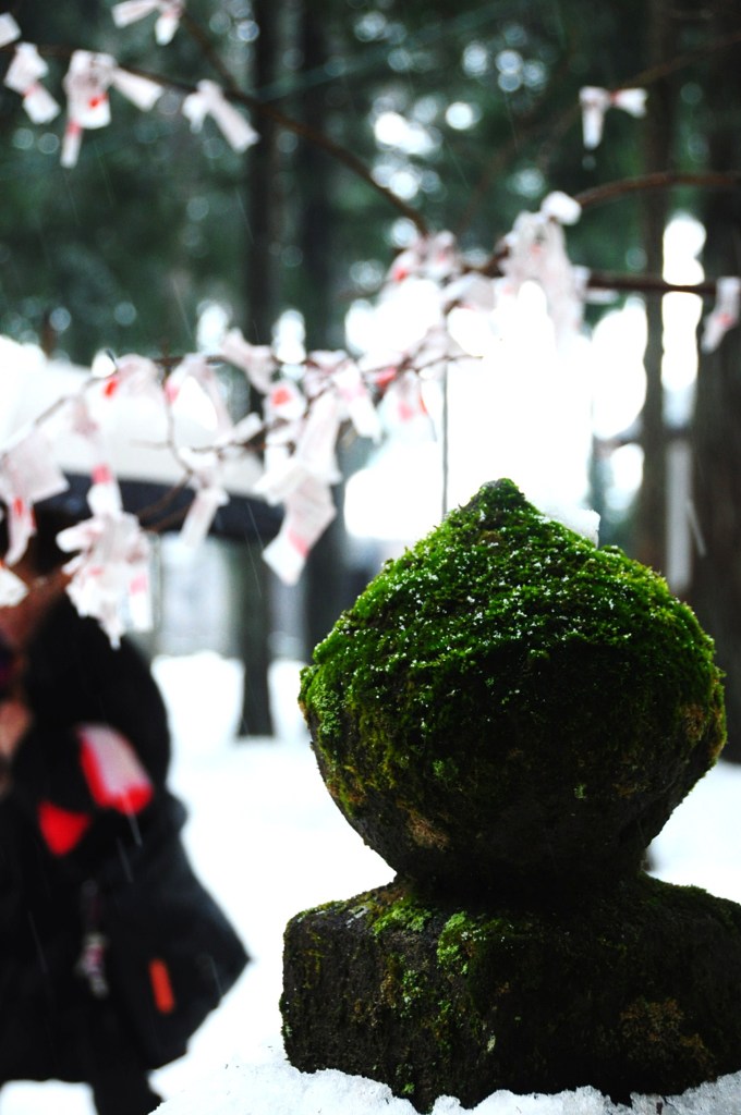 おみくじの華♪