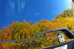 クルマも黄葉～♪