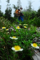 花の山旅♪