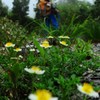 花の山旅♪