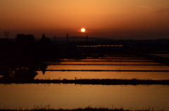 今日の夕暮れ♪