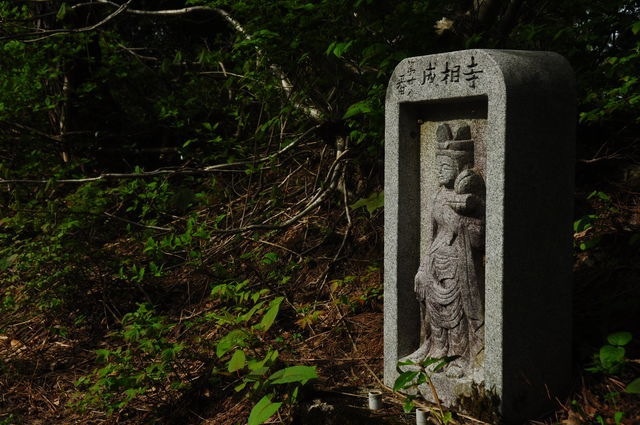見守られて♪