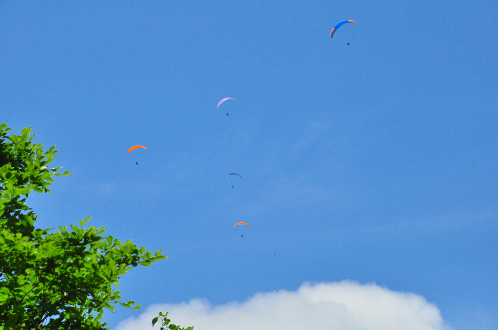 ぷかりぷかり♪