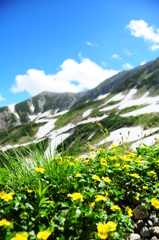 夏山〜♪