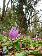 仲間に入れて～♪