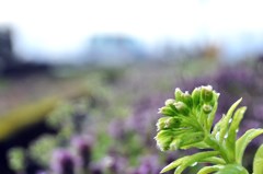雑っエンターテイメント♪