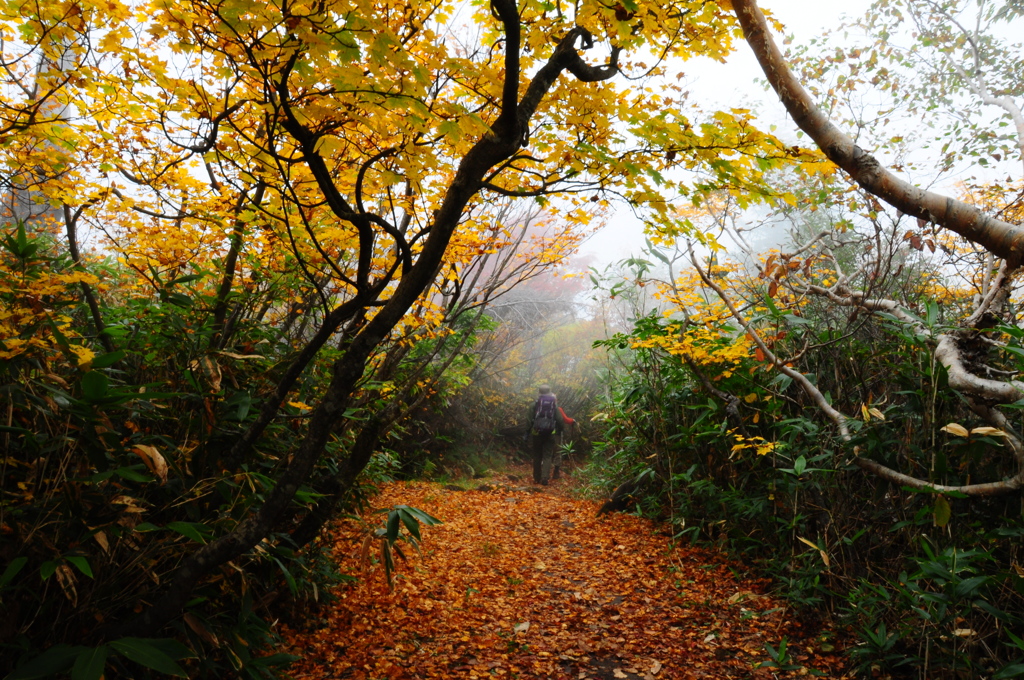 いにしえの登山道♪