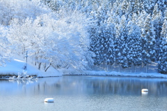 たまには水辺♪