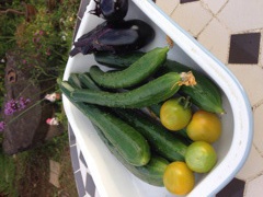 夏野菜バンザイ♪