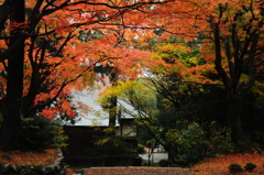 寺家公園