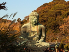 横浜・鎌倉旅行