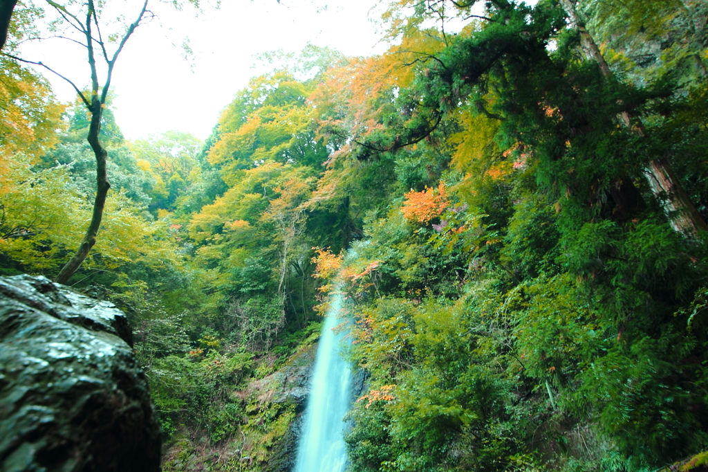 養老の滝！