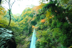 養老の滝！