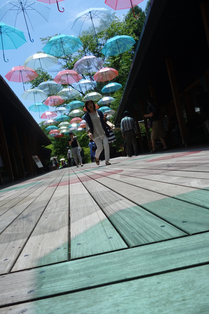 umbrella　street　２