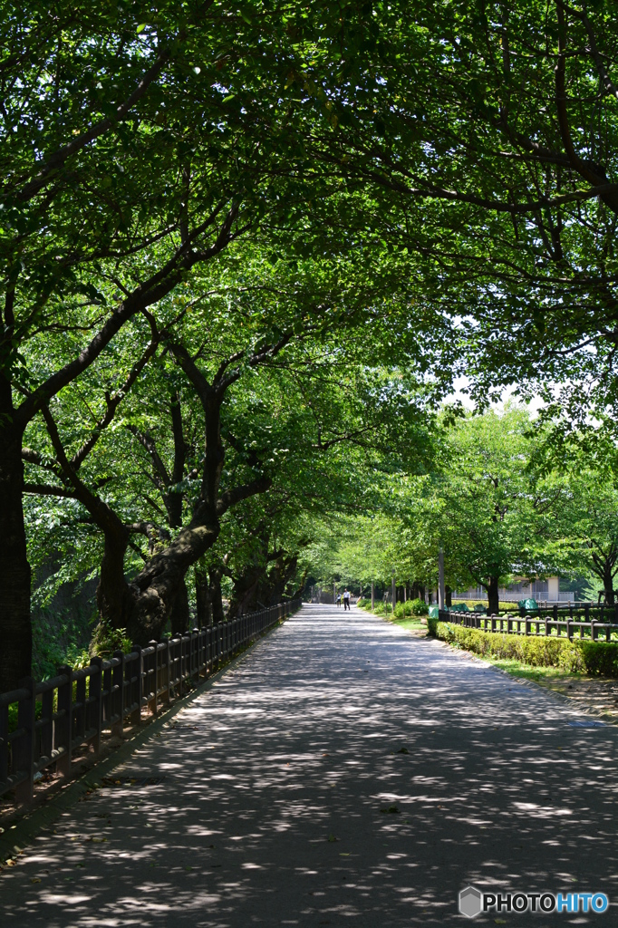 金沢城
