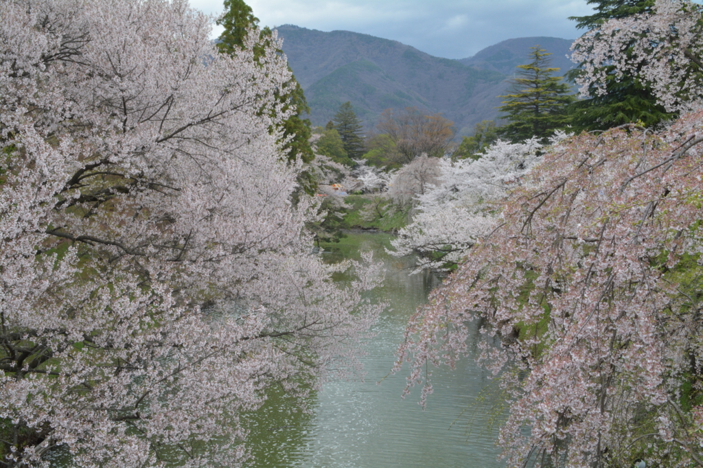 春の真田城　２