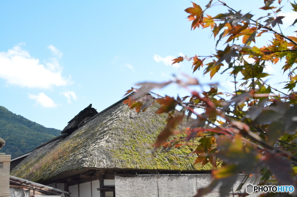 紅葉まで、もう少し