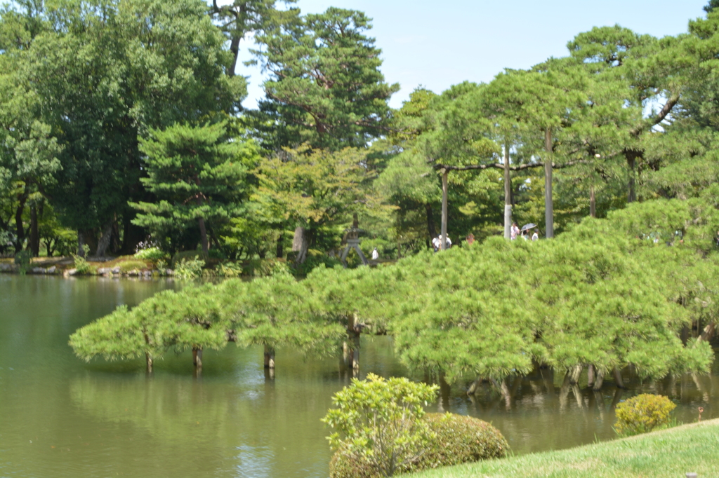 兼六園　霞ヶ池　３