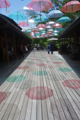umbrella　street