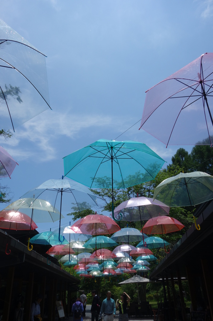 umbrella　ｓｋｙ