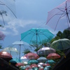 umbrella　ｓｋｙ