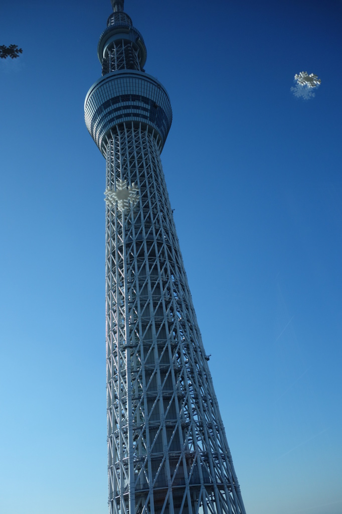 雪降る空樹
