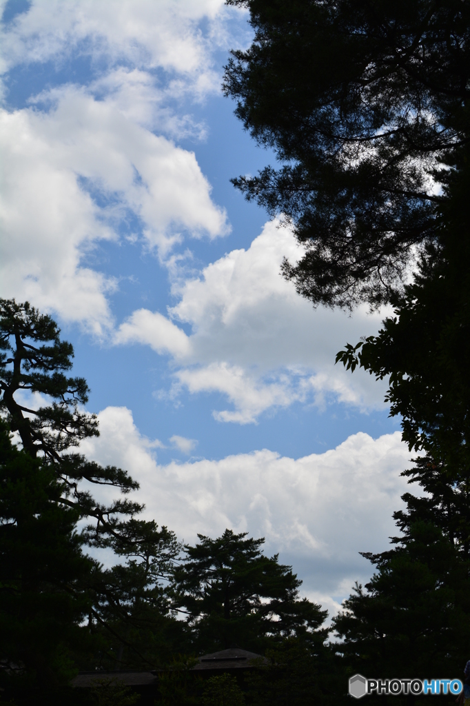 兼六園の空