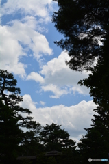 兼六園の空