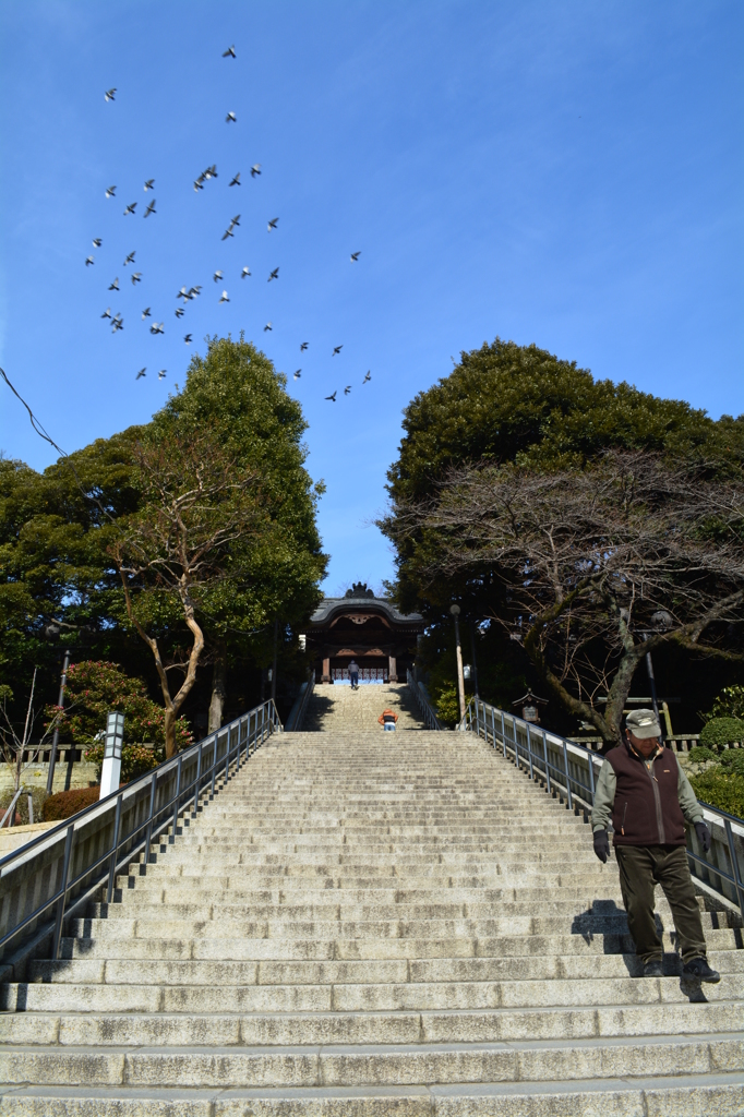 神の許へ