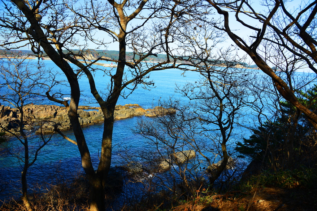 赤浜からの三陸海岸の眺望
