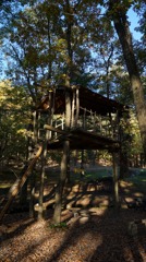 田沢湖キャンプ場のツリーハウス