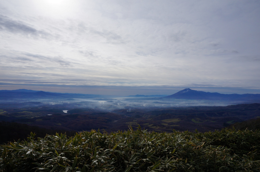 七時雨山から見た岩手山