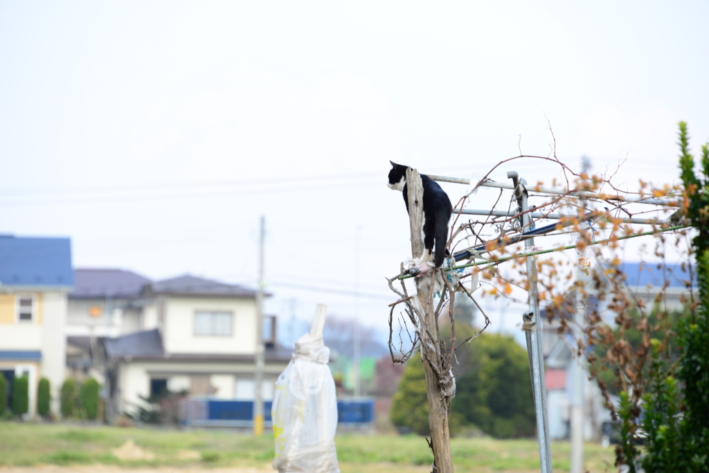 達成感
