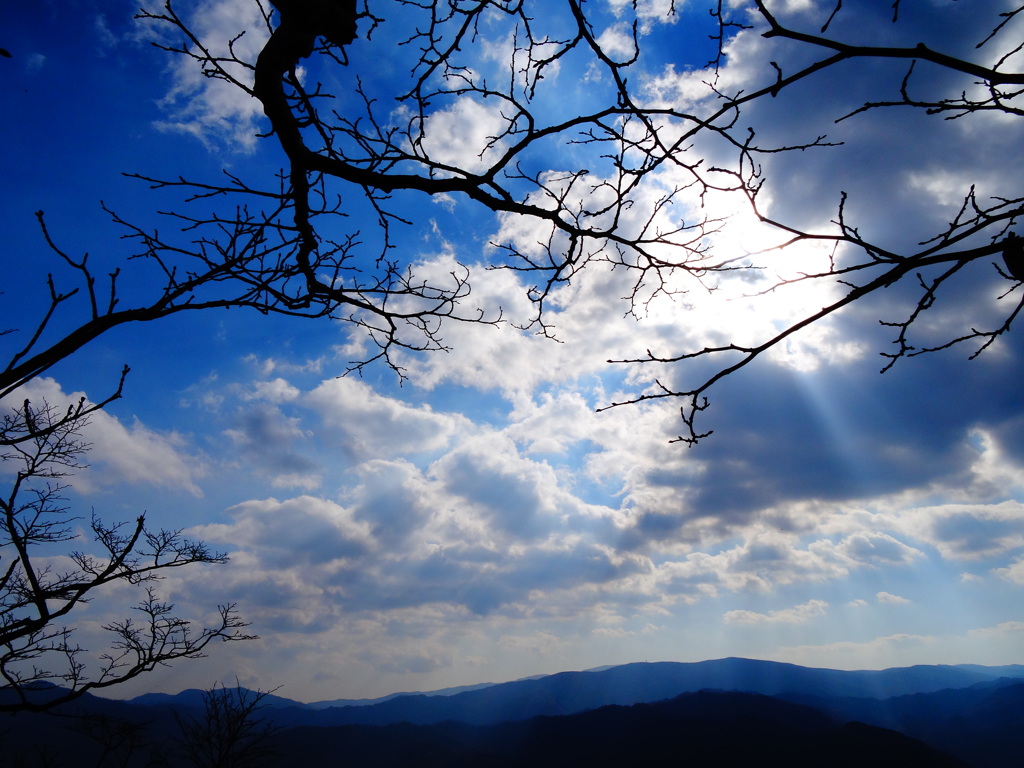 宇霊羅山　山頂より