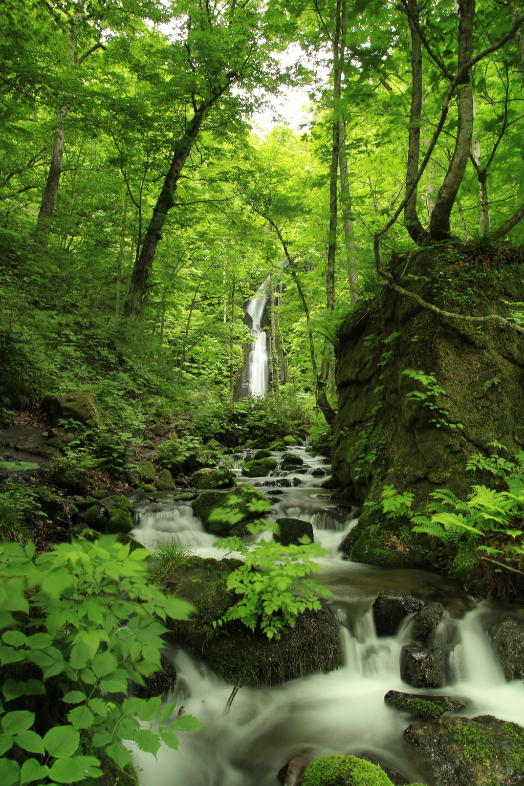 奥入瀬渓流　雲井の滝