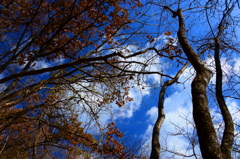 宇霊羅山の空